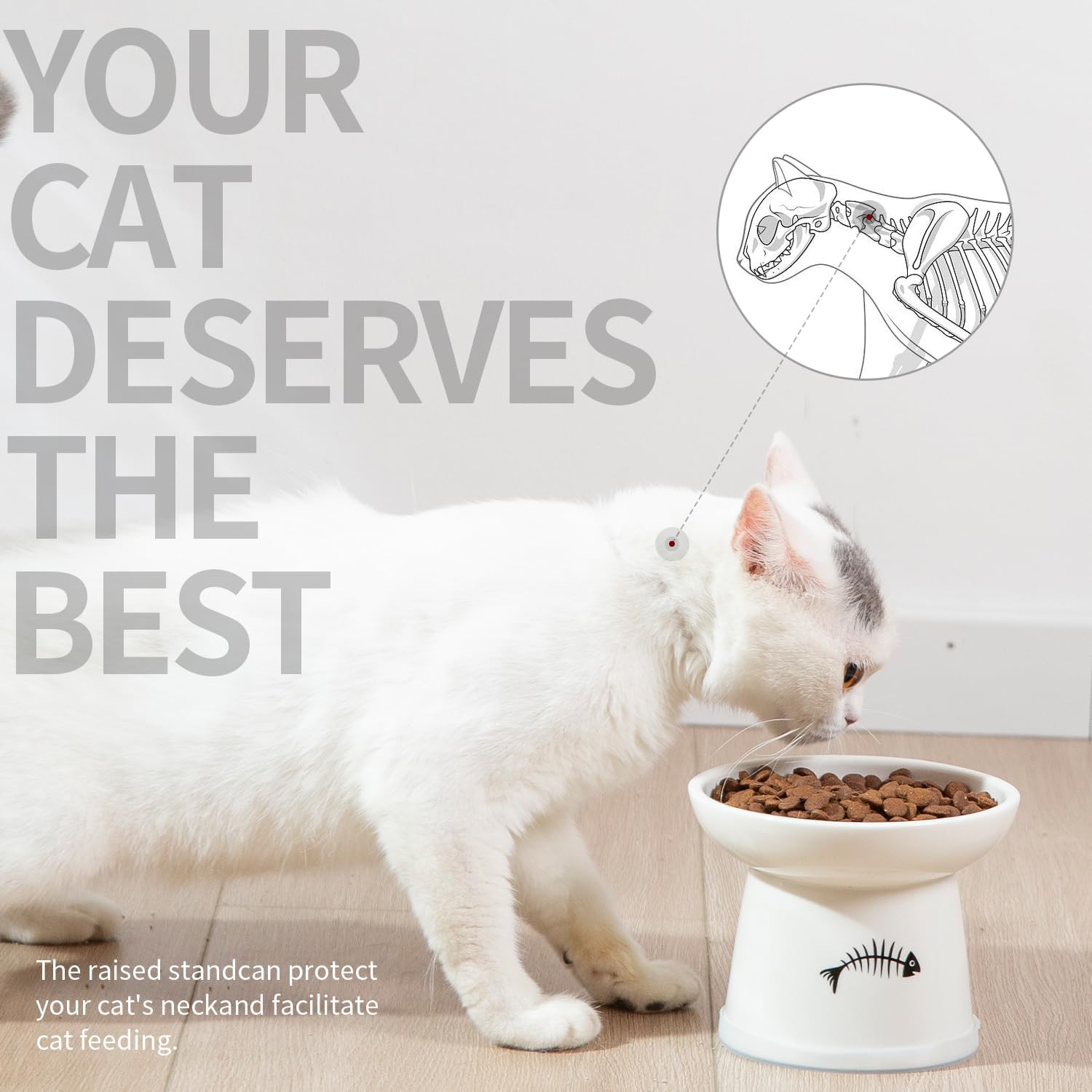 Raised cat food and water bowl set, whisker friendly elevated ceramic cats feeder bowls with anti slip ring, anti-vomiting shallow high porcelain pet kitten dish, dishwasher safe (white) - view 2