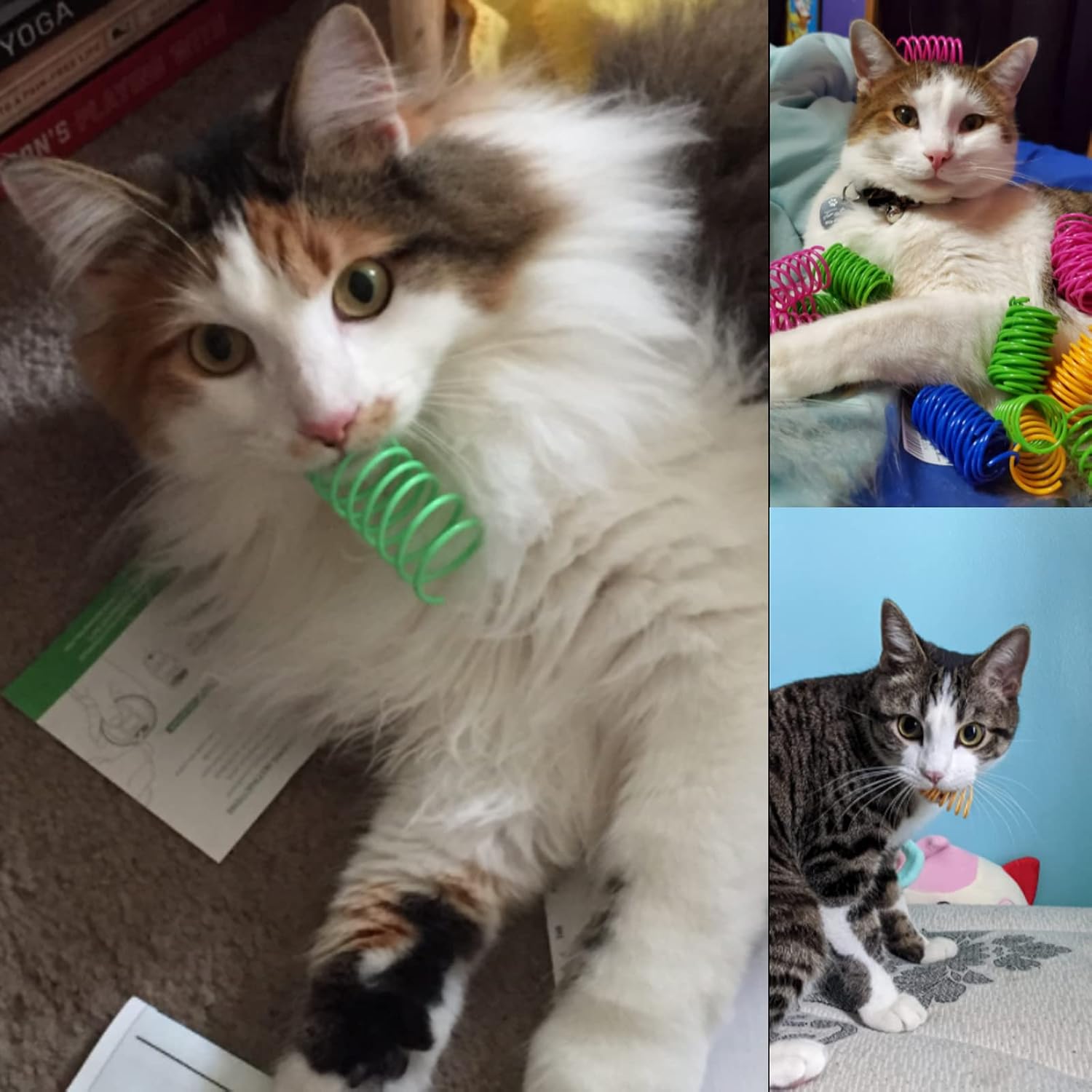 Cat Spring Toys 60 Pack, Colorful Springs Cat Toys Interactive Cat Toy Plastic Coil Spiral Springs Creative Cat Toy to Kill Time and Keep Fit Heavy Plastic Spring for Indoor Cats Kitten Toys - view 7