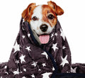 Weighted Blanket for Pets | Thunder Blanket for Dogs Anxiety | Premium Soft Minky | Relaxation & Calming & Anti Anxiety | Used in Car, Bed, Couch | Blue Grey Star, Washable Small (24"x32")