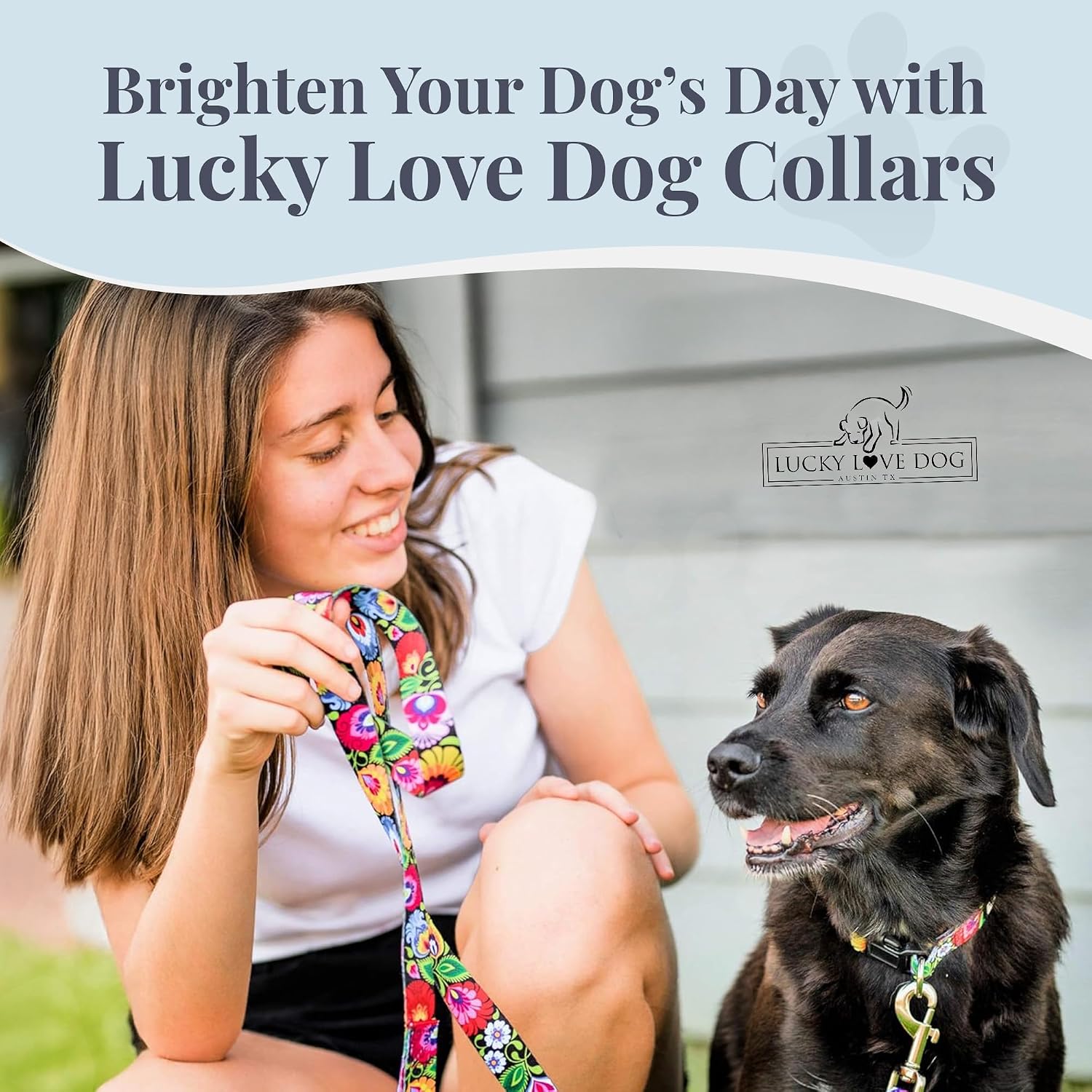 Collar for Large Dogs Cute Adjustable – Blackbird, Large | Cute Dog Collars for Large Dogs | Adjustable Nylon Collar with Easy Click Buckle & Weatherproof D-Ring - view 7