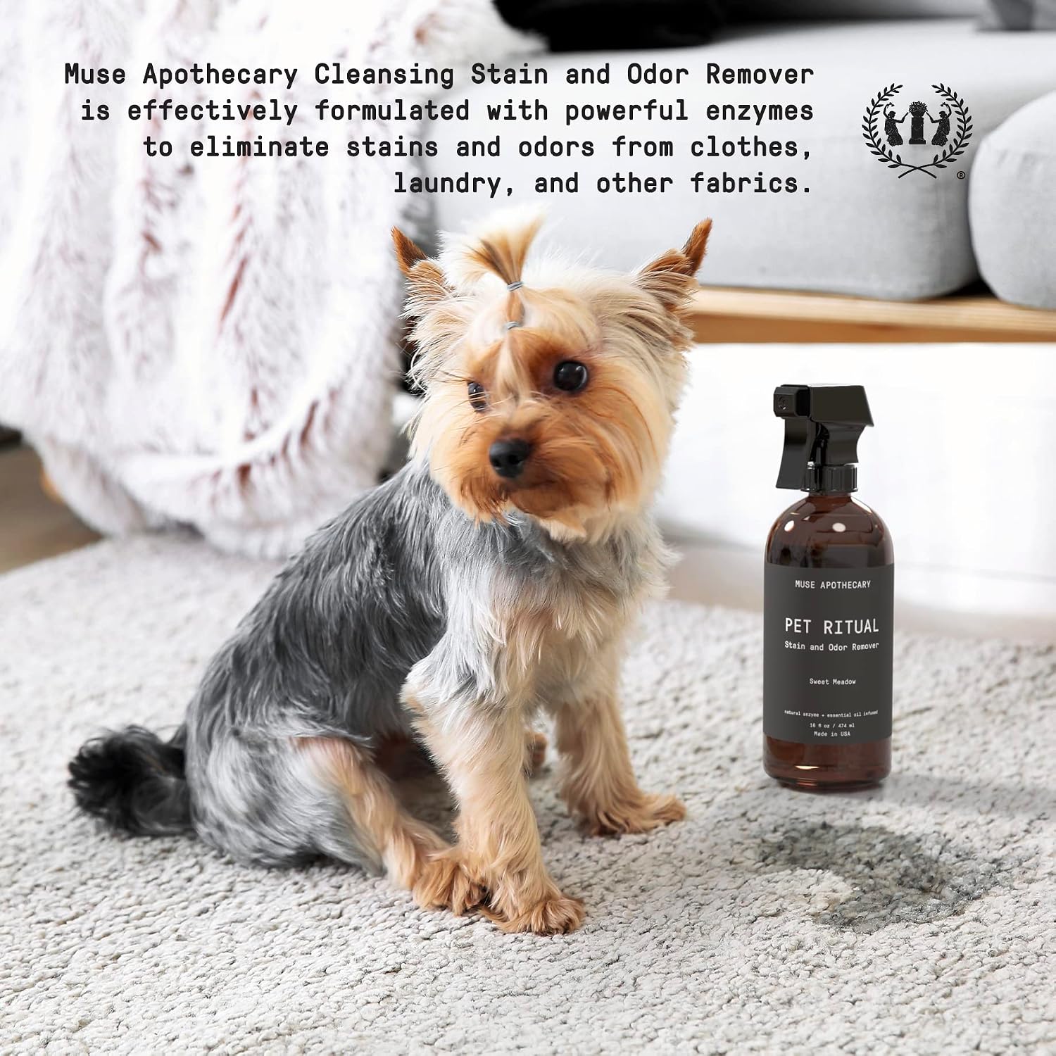 Complete Pet Stain and Odor Remover Enzyme Carpet Cleaner - Dog Stain Remover and Odor Neutralizer, Essential Oils Infused, Pet Stain Remover for Carpet - Pet Stain Carpet Cleaner 16oz - view 2