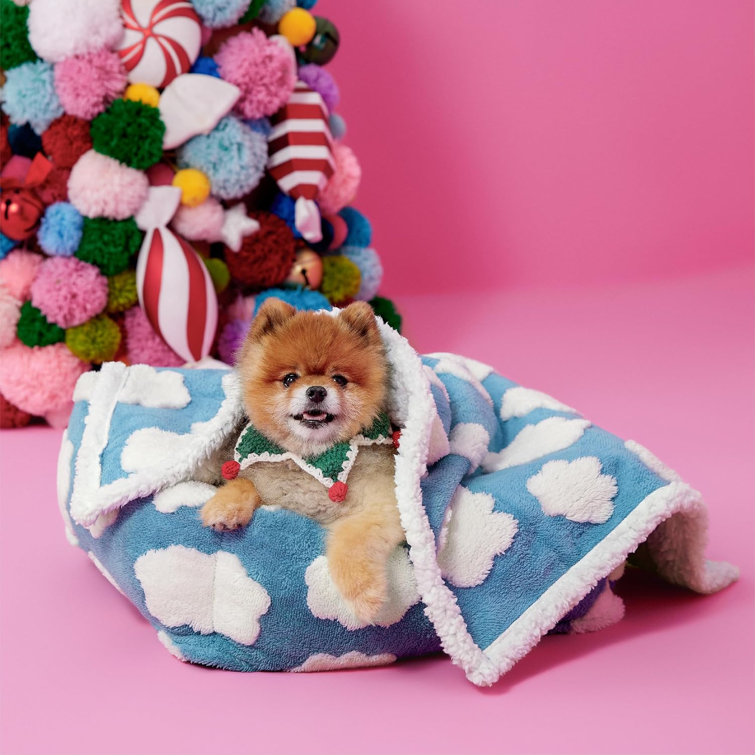 Waterproof Dog Blankets for Small Dogs Cute Cozy 3D Jacquard,25x35 | Puppy Blanket for Cat Aesthetic Gift, Warm Soft Sherpa Throw Washable, Reversible Pet Couch Protector, Clouds Blue - view 7