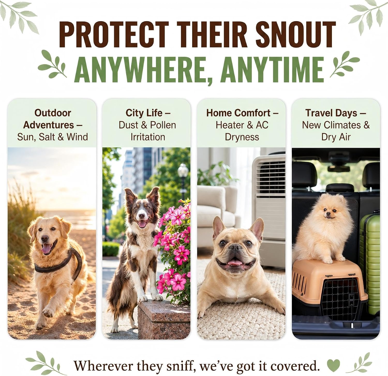 Snout Soother Nose Balm for Dogs & Cats - Natural Healing & Moisturizing Balm for Dry, Cracked Snouts - Plant-Based, Soothing Skin Formula | Plant-Based Moisturizing Formula, Botanical Oils, Helps Soften Rough Texture, Gentle Daily Use - view 6