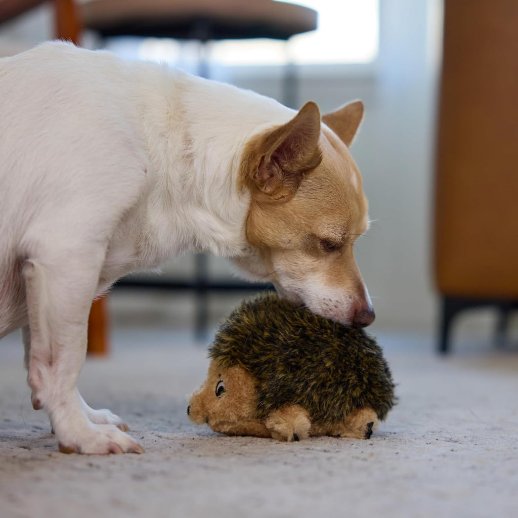 Stuffed dog toy – soft plush hedgehog, squeaks, 6" x 4" x 4.5" - view 6
