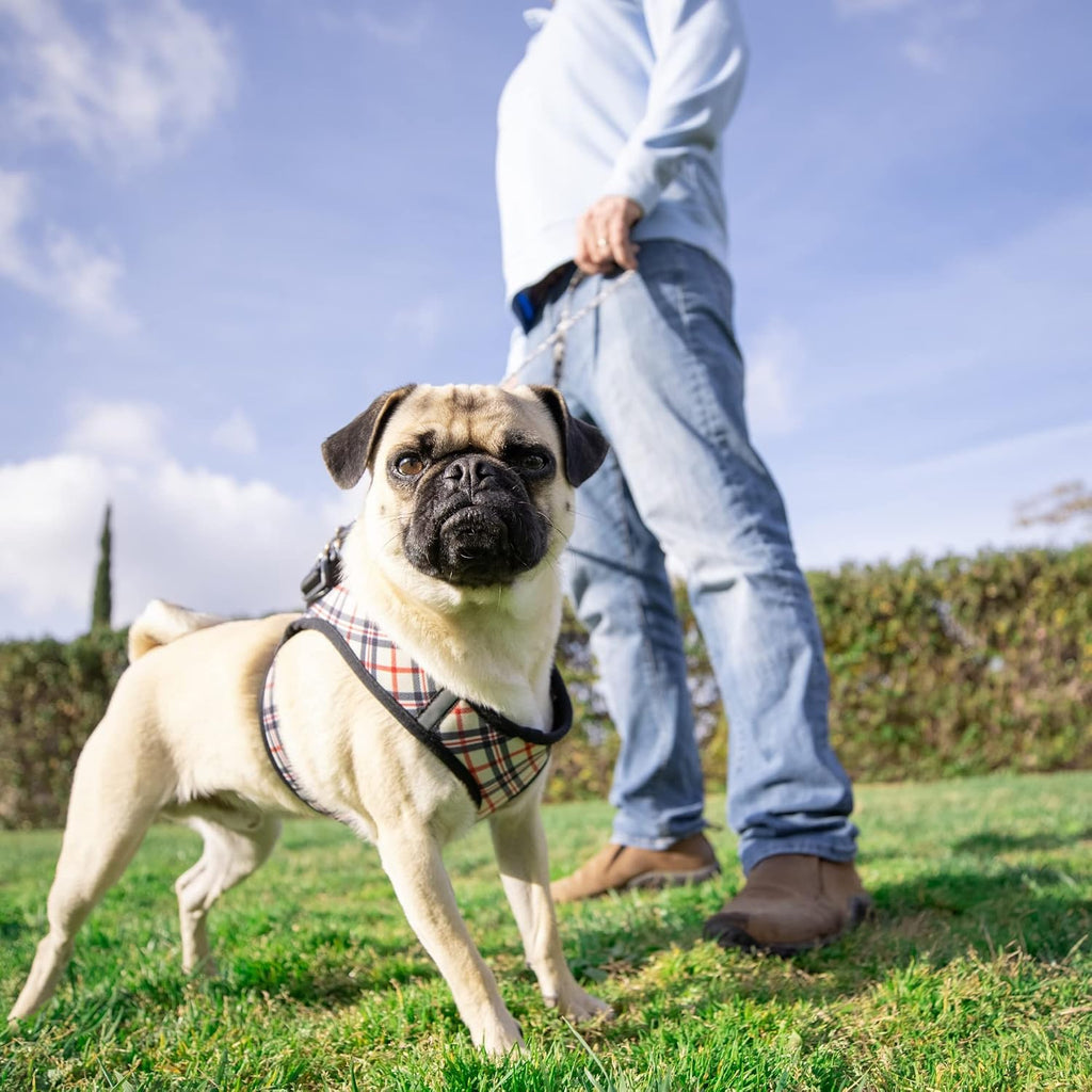 Hudson Harness, High Street Plaid, X-Small | Easy Control Step-in Mesh Vest Harness for Dogs with Reflective Strips for Safety, H&K Training Harness for Dogs - view 5