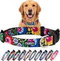Collar for Large Dogs Cute Adjustable – Blackbird, Large | Cute Dog Collars for Large Dogs | Adjustable Nylon Collar with Easy Click Buckle & Weatherproof D-Ring
