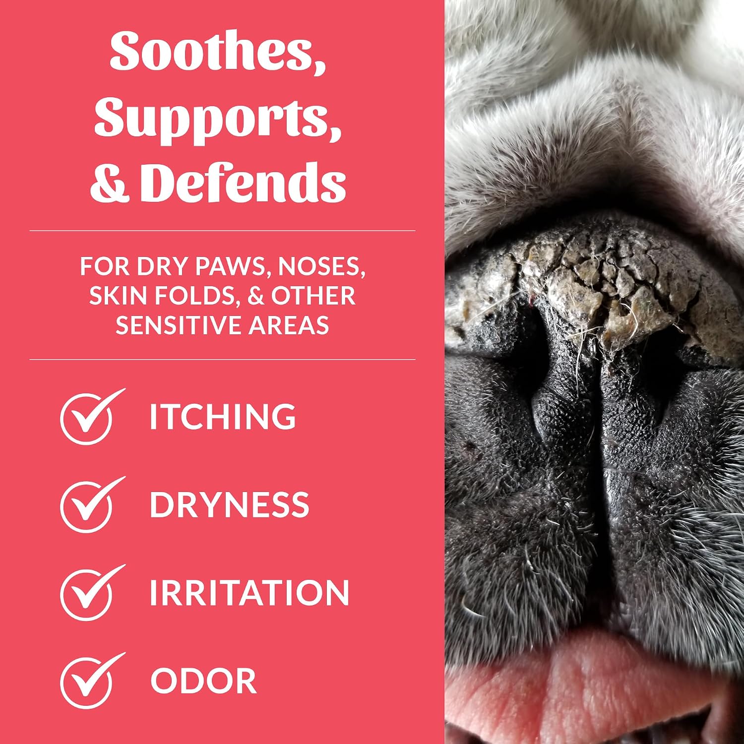 Prebiotic Pet Balm for Dogs and Cats, 2 oz | Natural Manuka Honey Balm to Promote Healing of Pet Paw Pads and Noses, Soothes Dry, Itchy Paws and Noses - view 3