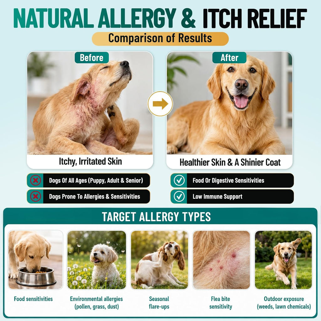 Dog Allergy Chews Omega 3 is Human, Itch Relief for Dogs Multivitamin 200ct | Premium Colostrum Probiotics, for Paw Licking, Yeast Ear, Seasonal Allergies, Immune Gut Support, All Breeds & Ages, Chicken - view 6