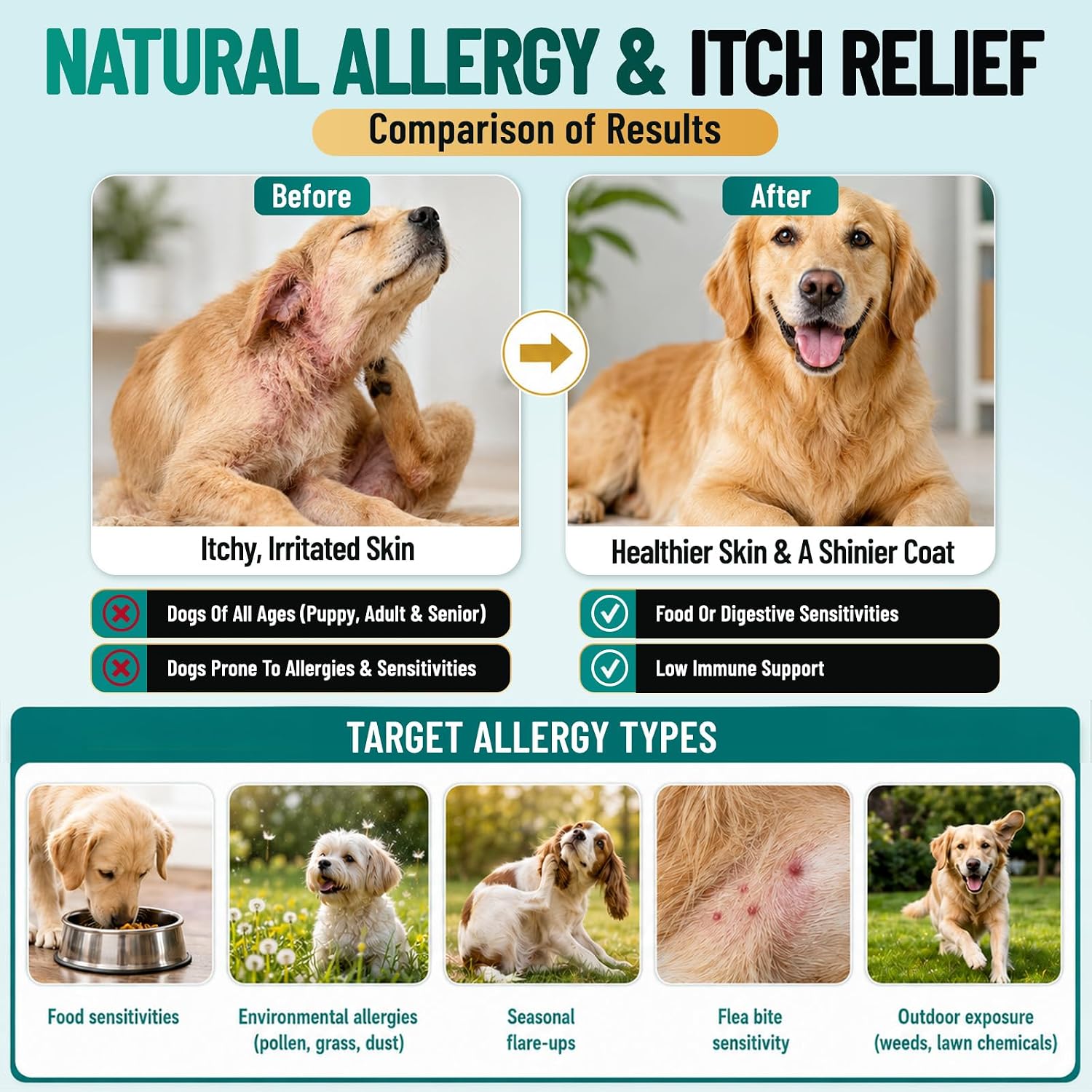 Dog Allergy Chews Omega 3 is Human, Itch Relief for Dogs Multivitamin 200ct | Premium Colostrum Probiotics, for Paw Licking, Yeast Ear, Seasonal Allergies, Immune Gut Support, All Breeds & Ages, Chicken - view 6