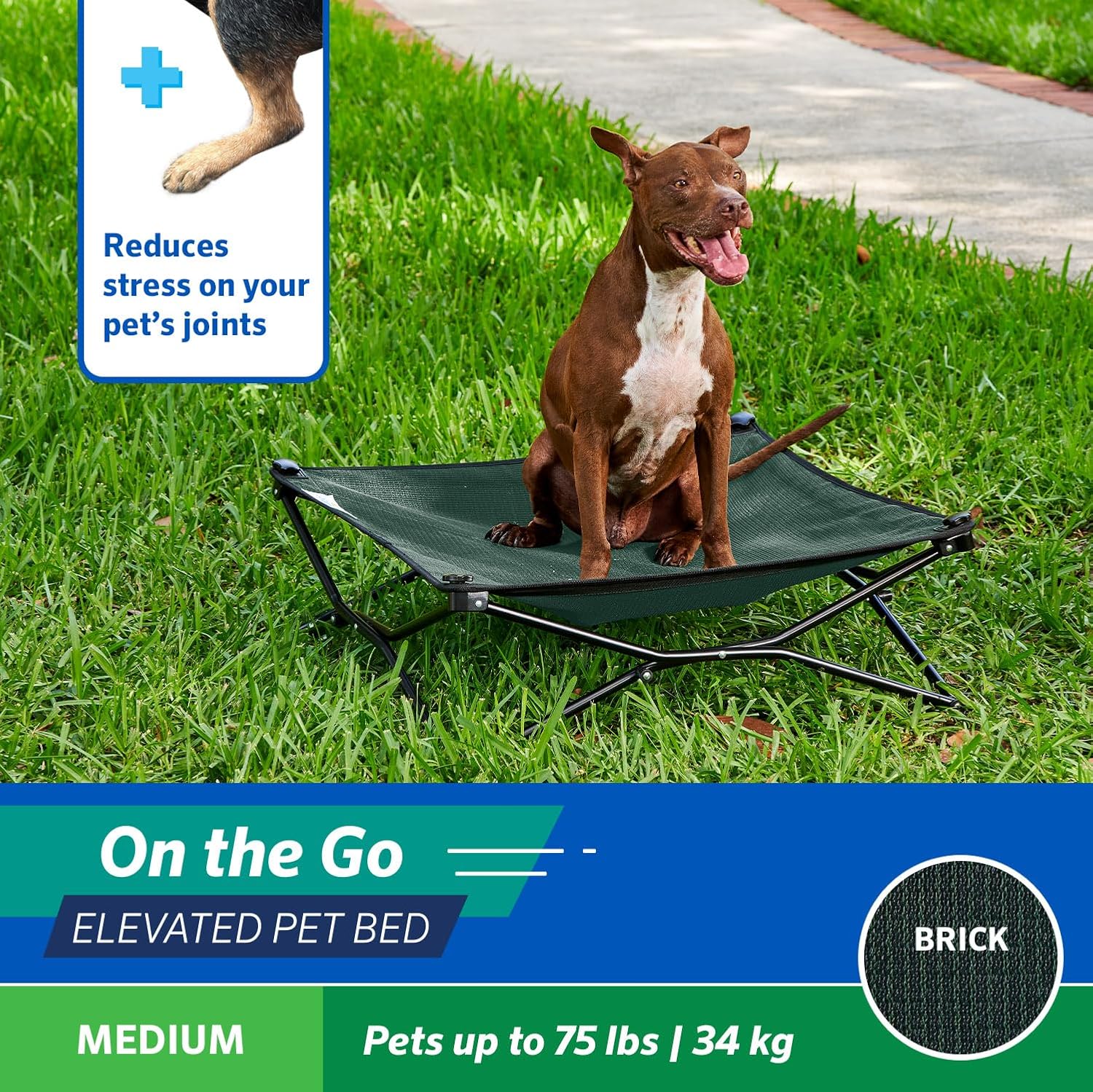 On-The-Go Elevated Dog Bed - Foldable Pop-Up Travel Dog Bed with Breathable, Moisture-Resistant Fabric, Carry Bag Included, Lightweight & Portable, Brunswick Green, Medium - view 3