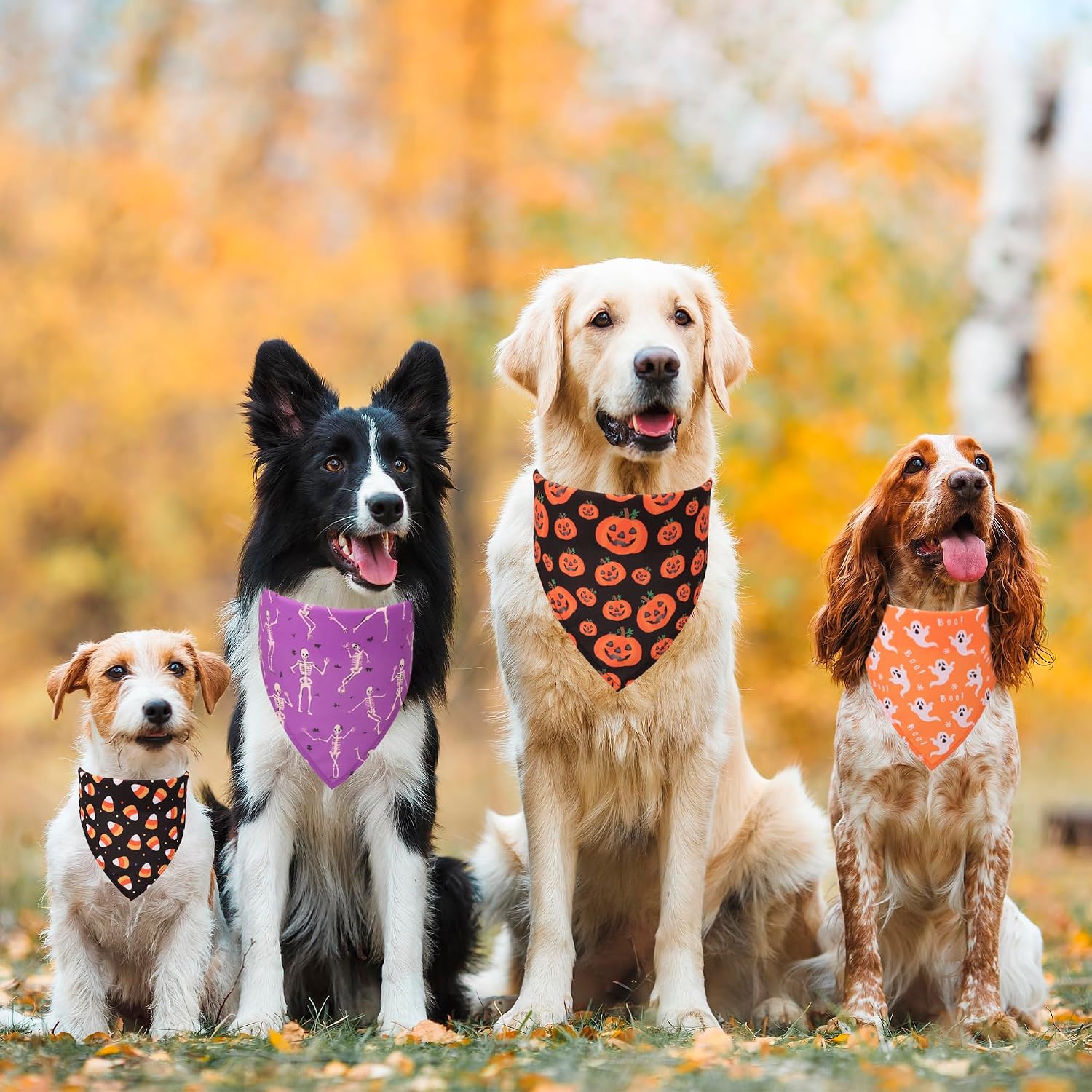 Halloween Dog Bandanas, 4 Pack Skeleton Ghost Pumpkin Bandana, S | 3 Sizes, Assorted Halloween Bandanas for Small Dogs, Adjustable, Soft Fabric, For Halloween Party Cosplay Photos - view 2