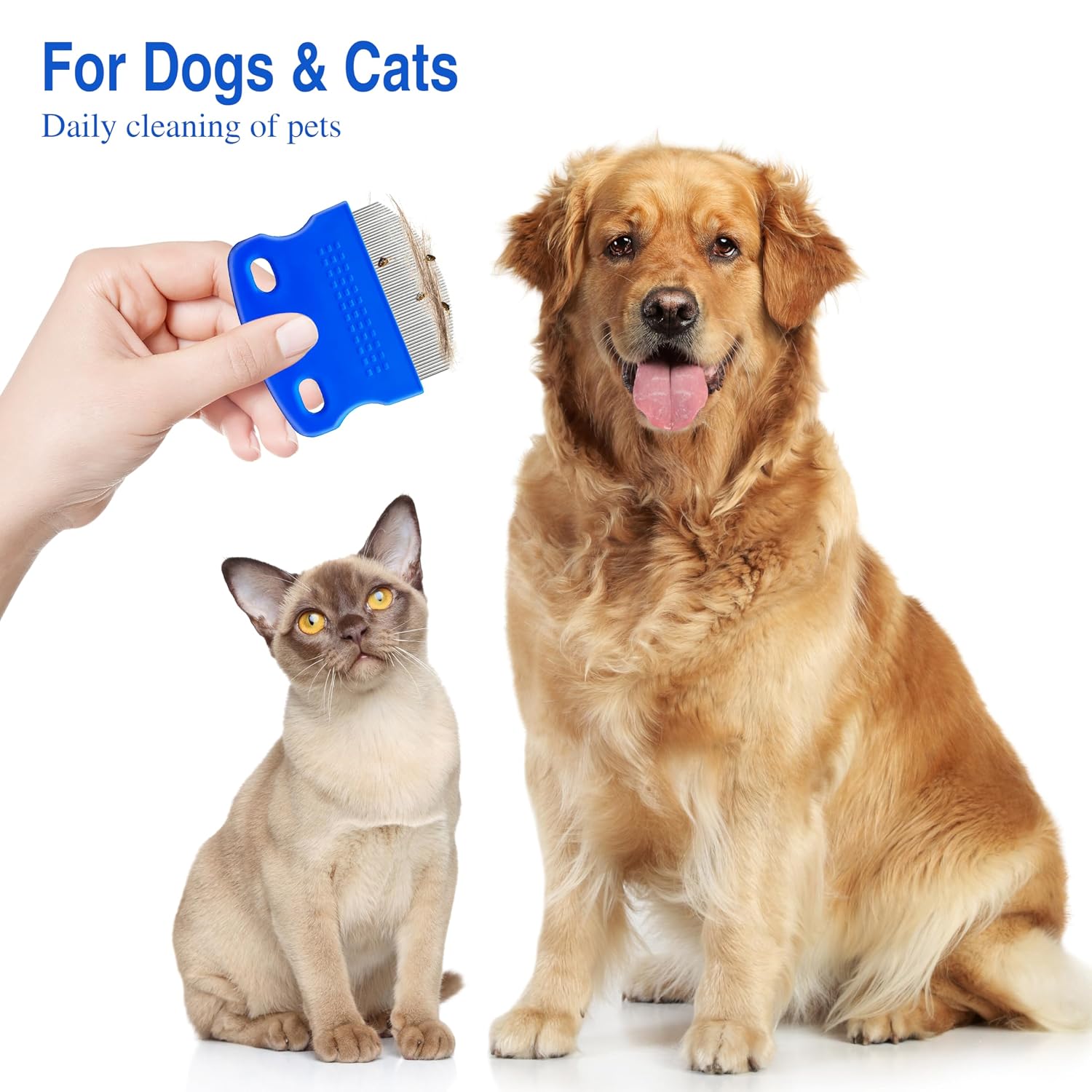 2 Pack Professional Eye Comb For Pets,Stainless Steel Tear Stain Remover,Flea Lice Comb,For Cats & Dogs,Gentle Round-Head Grooming Tool,Precisely Removes Stains, Dirt And Debris From The Eye Area - view 6