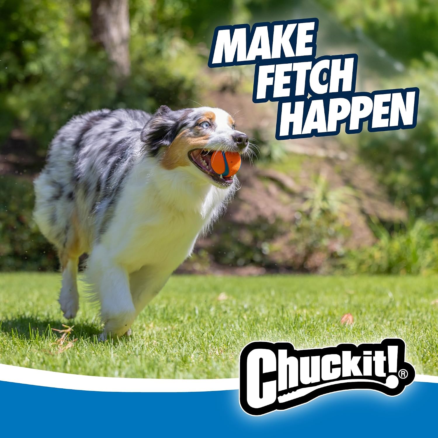 Chuckit! Ultra Ball Dog Toy, Balls for Dogs to Fetch, Durable Rubber, Small 2-inch (Pack of 24) - view 6
