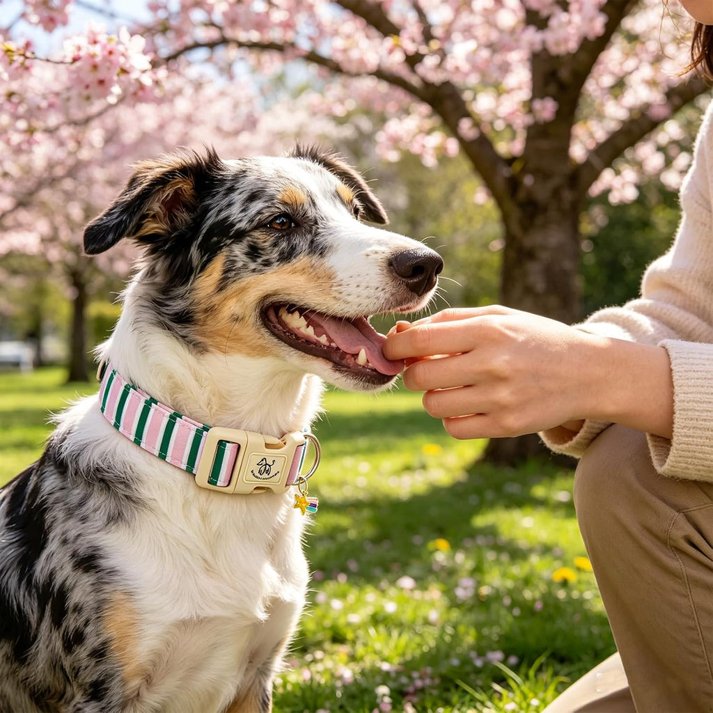 Dog collar, cute pink with green strip pattern pet collars soft girl or boy adjustable cotton puppy collar with quick release buckle for small puppy - view 6