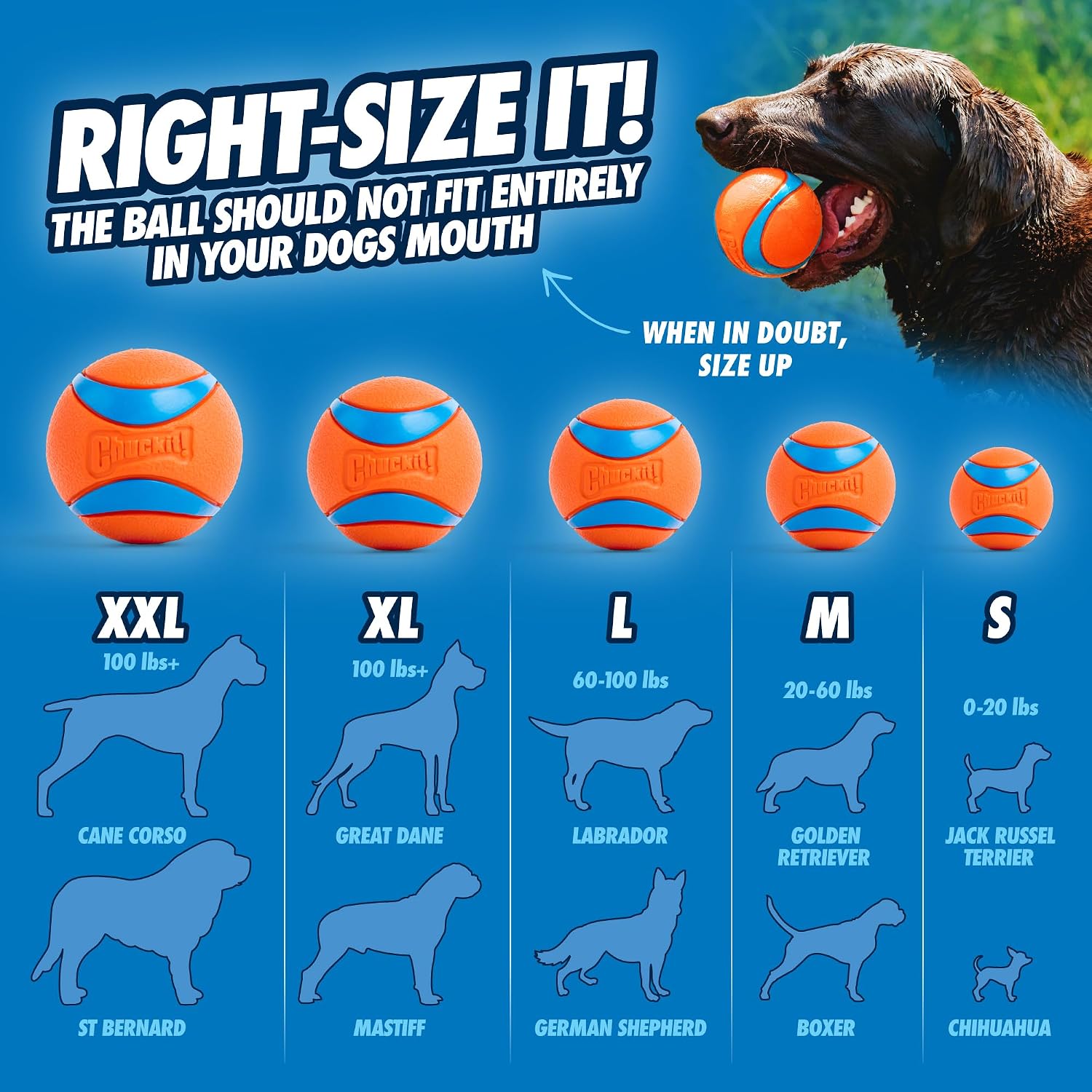 Chuckit! Ultra Ball Dog Toy, Balls for Dogs to Fetch, Durable Rubber, Small 2-inch (Pack of 24) - view 4