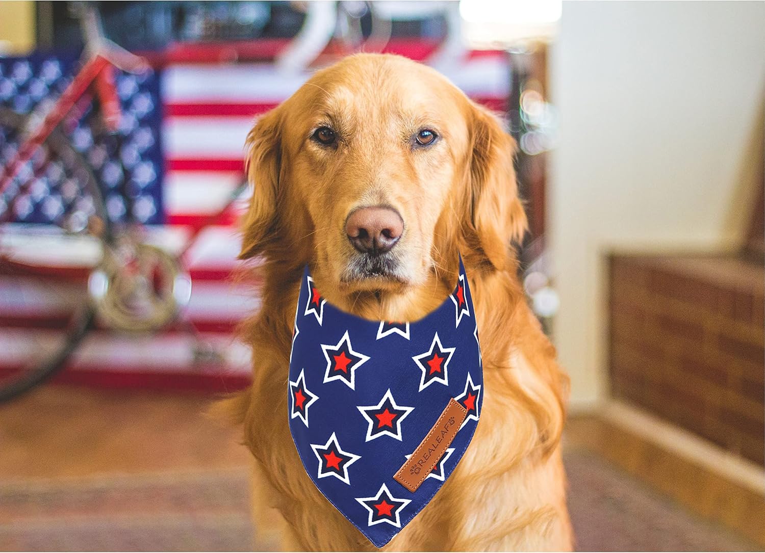 American Flag Dog Bandanas 2 Pack, Triangle Reversible 4th of July Pet Scarf for Boy and Girl, Premium Durable Fabric, Patriotic Bandana for Small Medium Large and Extra Large Dogs (Large) - view 6