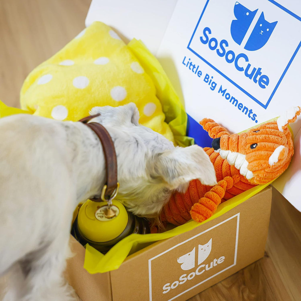 Puppy starter kit – 5pc dog toy gift set for small dogs – new puppy essentials gift box with blanket, squeaky plush, teething ring, treat ball & chew ball (yellow) - view 2