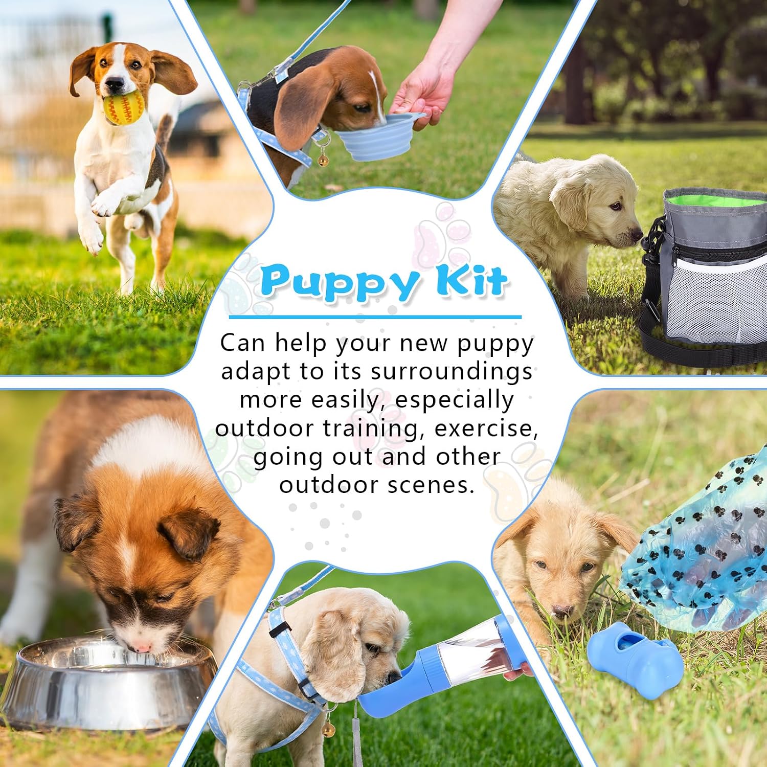 65 pcs puppy supplies starter kit small dog essentials includes dog leash, toys, bowl, brushes, water bottles, pet blankets puppy accessories for new welcome gift supplies (cool, blue) - view 5