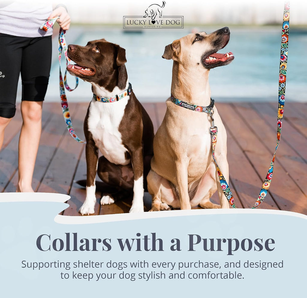 Collar for Large Dogs Cute Adjustable – Blackbird, Large | Cute Dog Collars for Large Dogs | Adjustable Nylon Collar with Easy Click Buckle & Weatherproof D-Ring - view 6