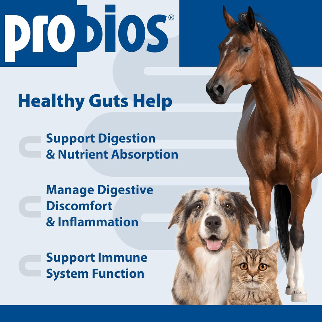 Digestive Support Powder for Pets, 5 lb | For dogs, cats, and horses, Daily probiotic, Digestive and immune support - view 3