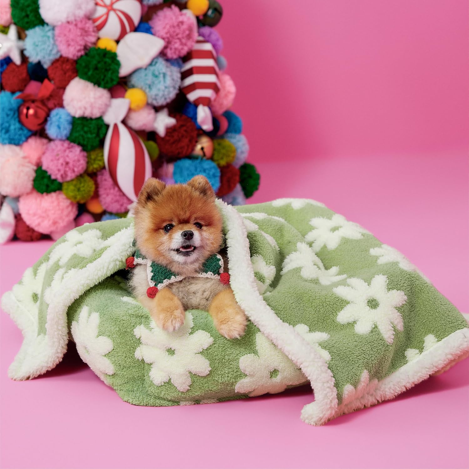 Waterproof Dog Blankets for Small Dogs Cute Cozy 3D Jacquard,25x35 | Puppy Blanket for Cat Aesthetic Gift, Warm Soft Sherpa Throw Washable, Reversible Pet Couch Protector, Flower Garden Green - view 2