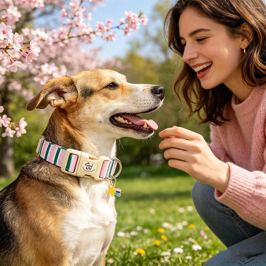 Dog collar, cute pink with green strip pattern pet collars soft girl or boy adjustable cotton puppy collar with quick release buckle for small puppy - view 4