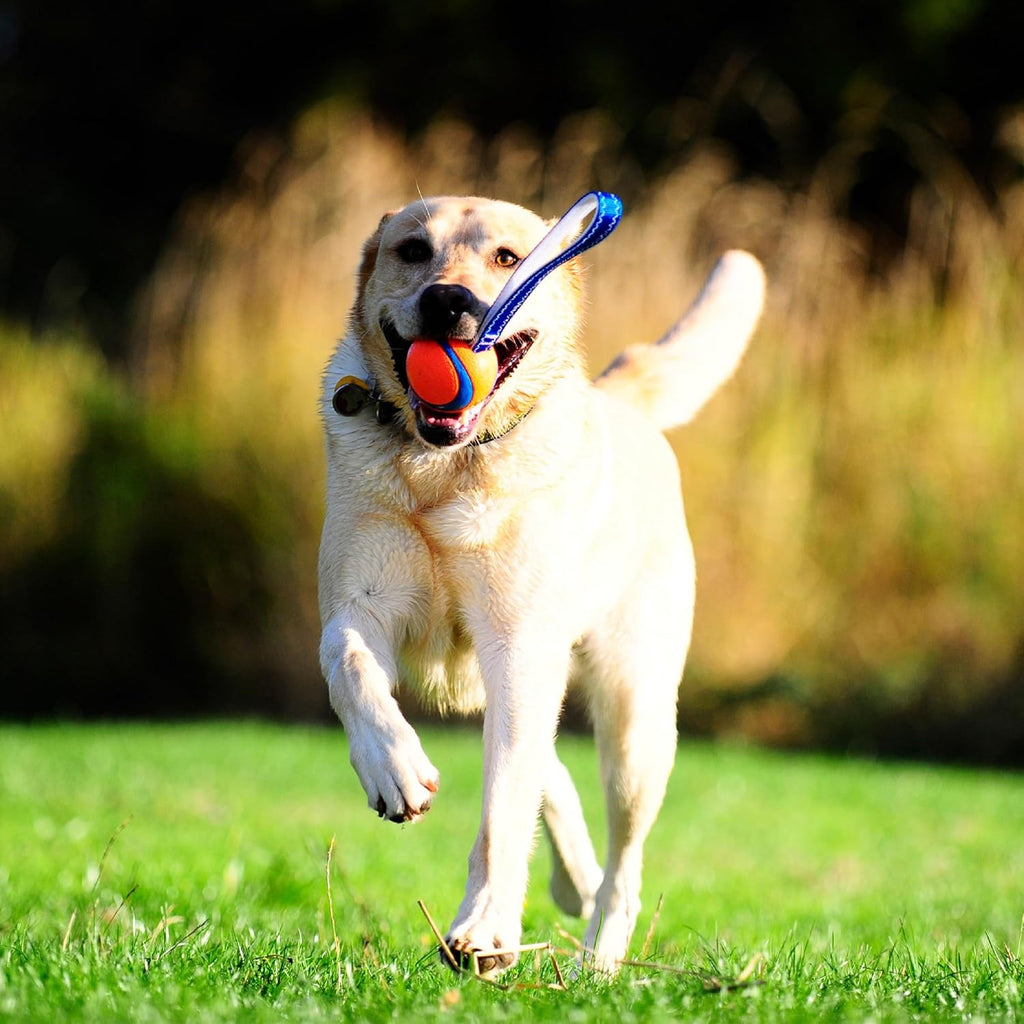 Ultra tug dog toy, medium fetch and dog ball tug toy for dogs 20-60 pounds - view 2
