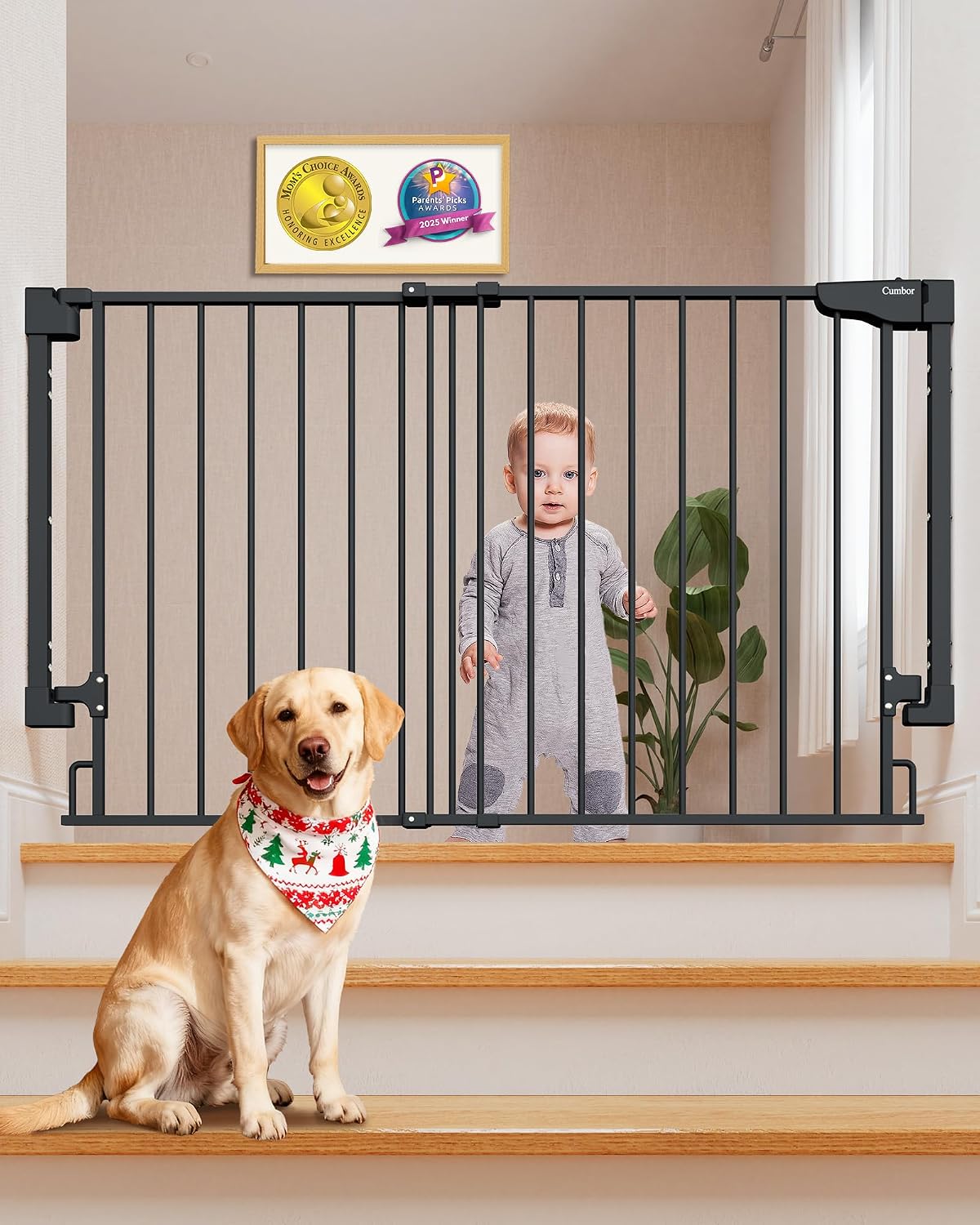 Expandable 31.6-48" No Bottom Bar Baby Gate for Stair, Wide Dog Gate | 2-in-1 Hardware Mounted, 28" Tall Pet Gate for Doorways with Large Walk Thru Door, Child-Proof Safety Gate for Kids (Black)