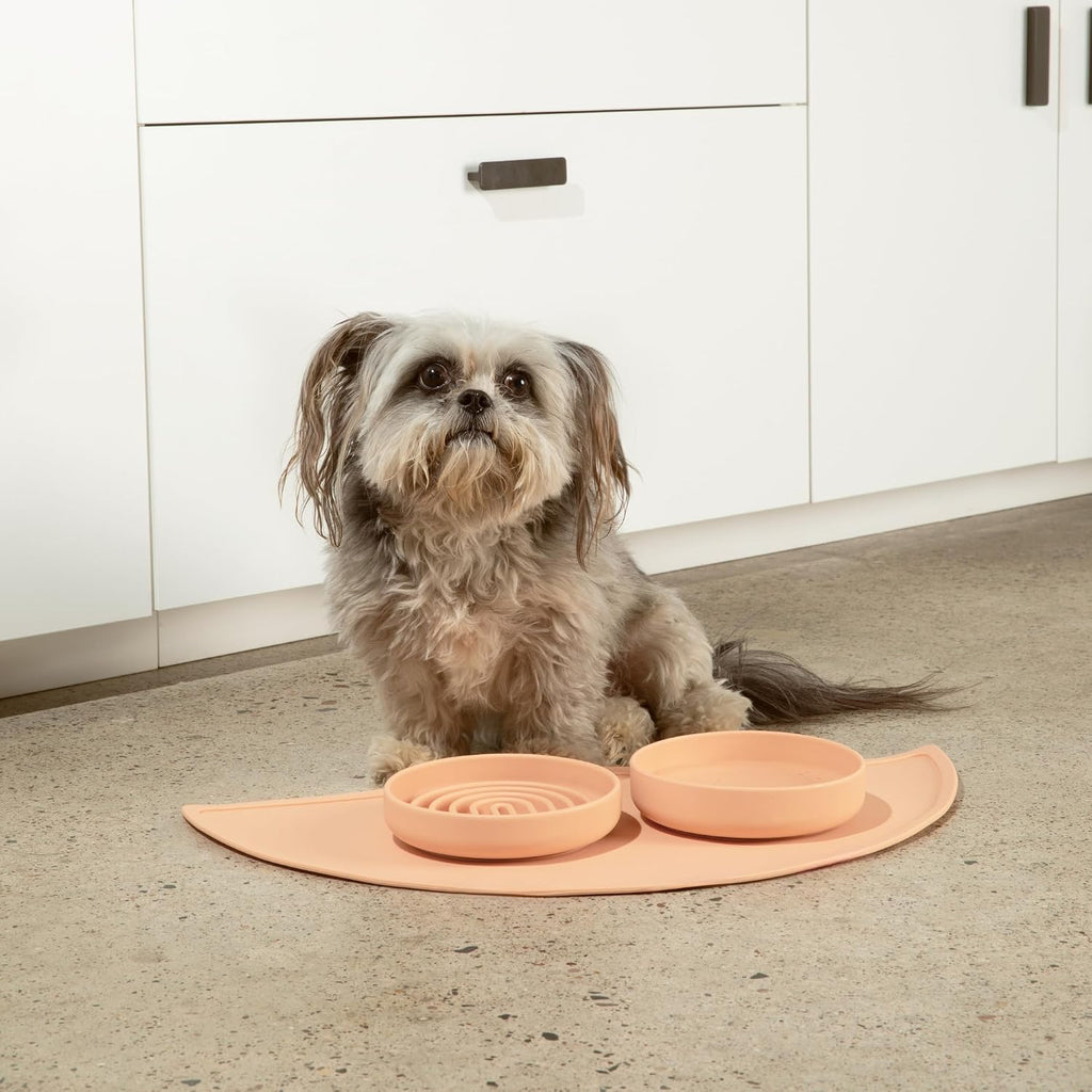 Slow feeder dog bowls - small size silicone slow eating dog bowl for puppies & dogs with suction cup - dishwasher-safe, lick mat design, reduces gulping, for all breeds, 6"x1.25" - blush - view 5