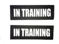 Reflective in Training Patches with Hook Backing for Service Animal Vests/Harnesses XXS or Extra Small (3.5 X 1) Inch