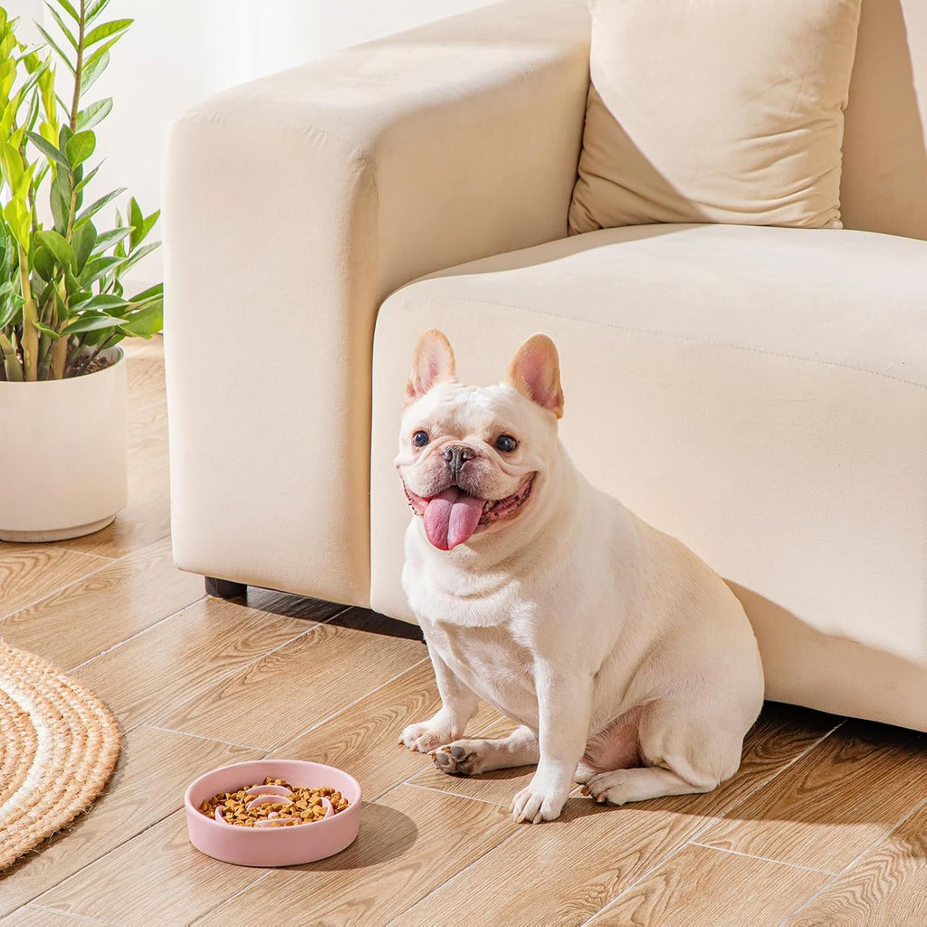 Ceramic Slow Feeder Dog Bowl, 0.6 Cup Puzzle Dish for Small Breeds | Maze Dog Food Bowl for Fast Eaters, Slow Feeding Design for Small Dogs and Cats, Promotes Healthy Eating Habits, Pink - view 8