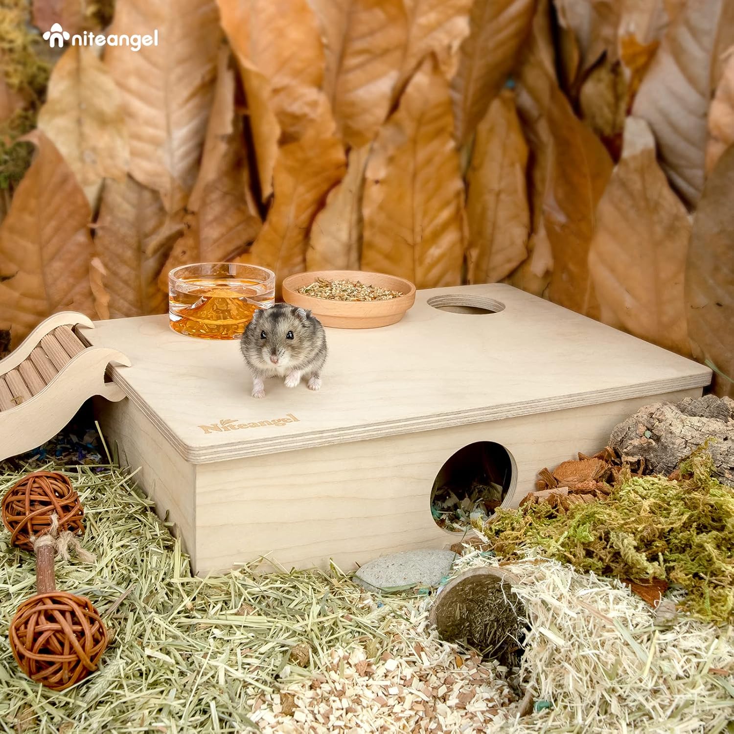 Multi-Chamber Hamster House Maze: 2 Entrance 6 Rooms Maze Habitat | No-Disturb Removable Lid - Encourage Pets Hide and Explore Freely Hideout & Tunnel Maze Toys for Hamster Gerbils Mice Lemming - view 3
