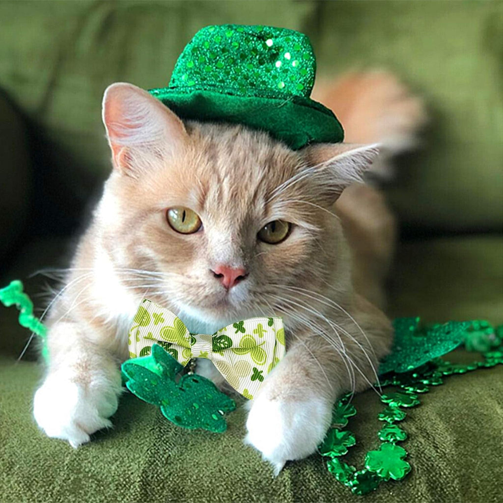 2 pack St. Patrick's cat collar with bow tie and bell, kitty kitten breakaway lucky Irish shamrock collar for girls and boys male female cats (the lucky one) - view 5