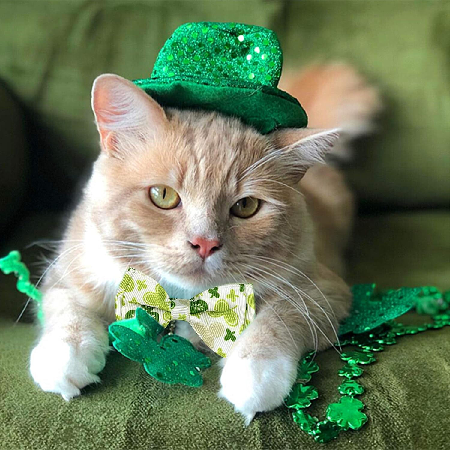 2 pack St. Patrick's cat collar with bow tie and bell, kitty kitten breakaway lucky Irish shamrock collar for girls and boys male female cats (the lucky one) - view 5