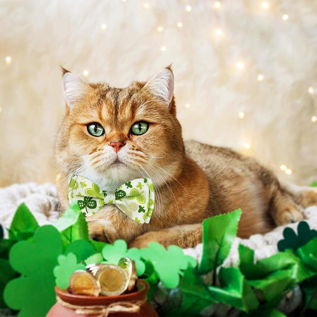 2 pack St. Patrick's cat collar with bow tie and bell, kitty kitten breakaway lucky Irish shamrock collar for girls and boys male female cats (the lucky one) - view 7