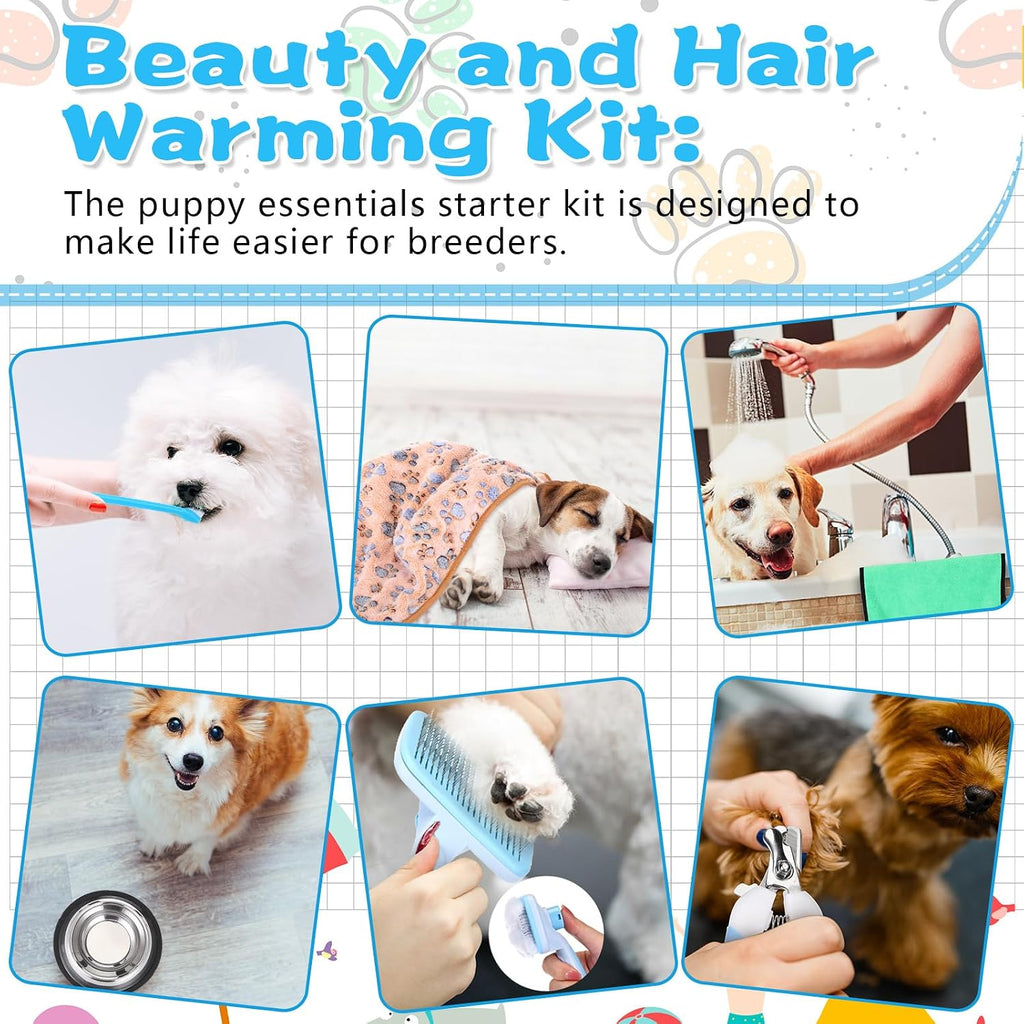 65 pcs puppy supplies starter kit small dog essentials includes dog leash, toys, bowl, brushes, water bottles, pet blankets puppy accessories for new welcome gift supplies (cool, blue) - view 6