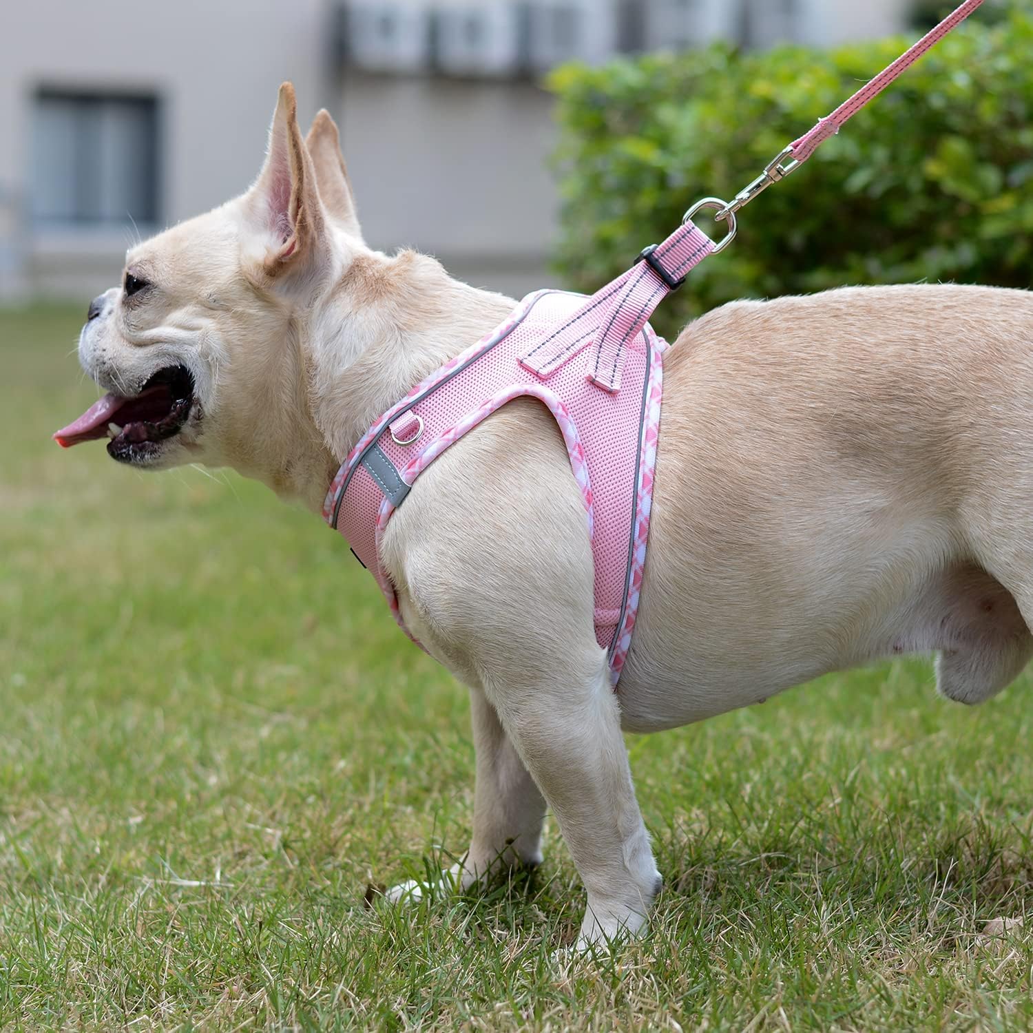 Soft Mesh Dog Harness and Leash Set, Step-in Reflective Breathable Lightweight Vest Harnesses with Safety Buckle for Small Dogs, Cats (Pink, S) - view 5