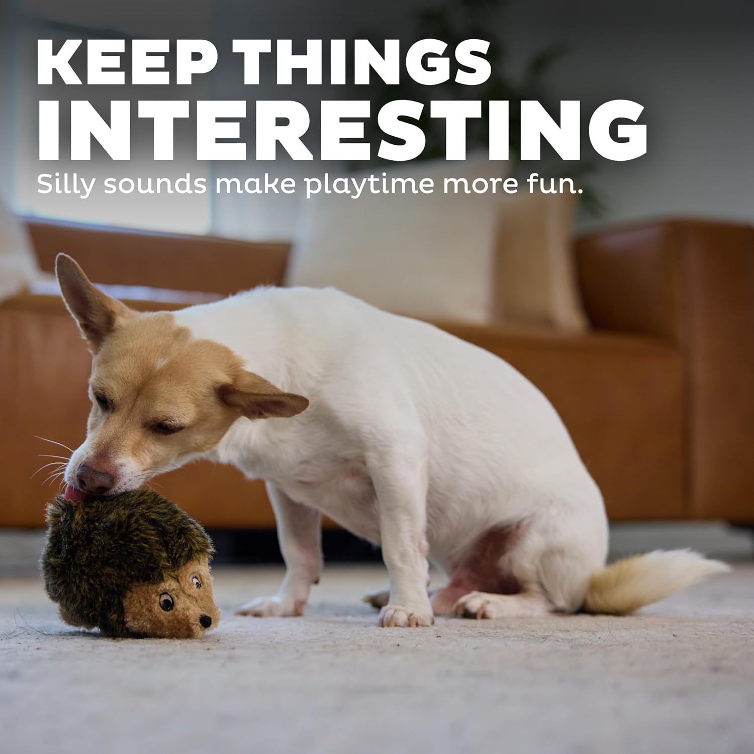 Stuffed dog toy – soft plush hedgehog, squeaks, 6" x 4" x 4.5" - view 5