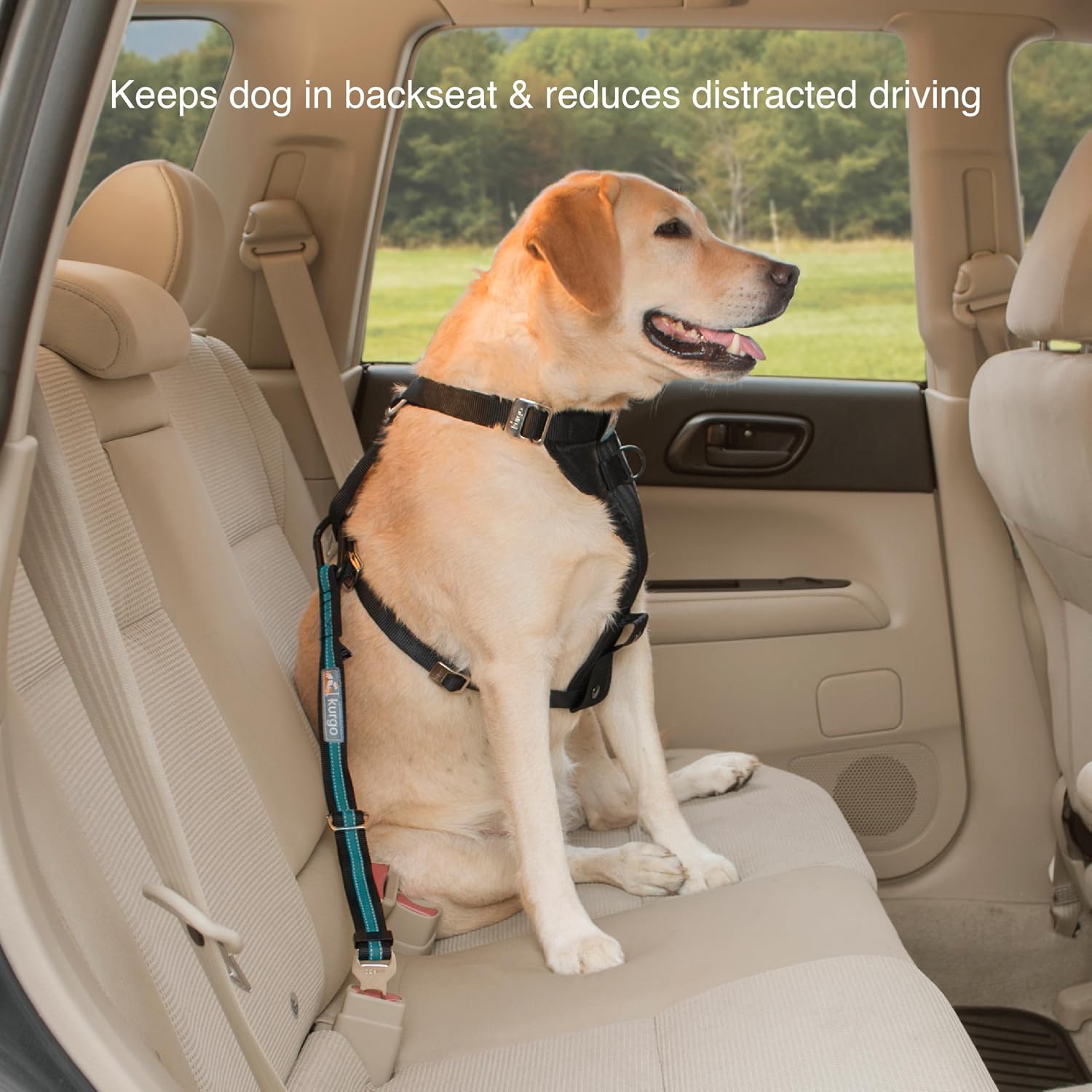Direct to Seatbelt Tether, Coastal Blue | Car Tether for Dogs, Clips Directly to Seatbelt, Prevents Distracted Driving, Adjustable Length, Universal Fit-Excludes Volvo - view 4