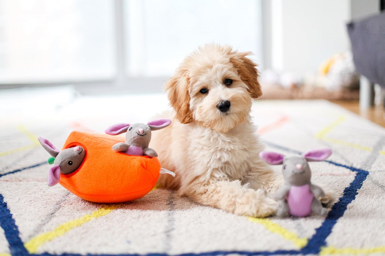 Burrow- Interactive Dog & Puppy Toys for Boredom, Stimulating Pet Products to Keep Them Busy, Hide & Seek Plush Dog Puzzles, Enrichment Squeaky Toy, for Small & Medium Dogs- Bunny n' Carrot - view 4