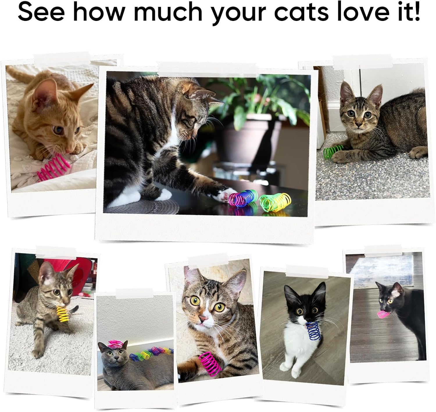 Cat toys for indoor cats, 30 pack interactive cat spring toys | colorful durable plastic coils, bounce & roll for hunting, chasing and biting, bulk toys for bored adult cats self play - view 5