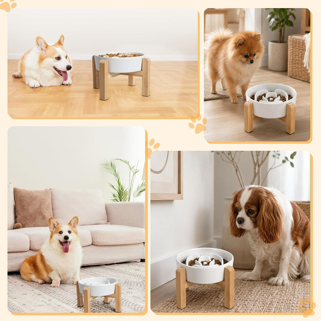 Elevated slow feeder dog bowl, 6.7" ceramic maze dog bowl with stand | 1.5 cups slow feeding dog dish for fast eaters, 5" tall anti-slip raised slow feeder for small and medium breeds, white - view 6