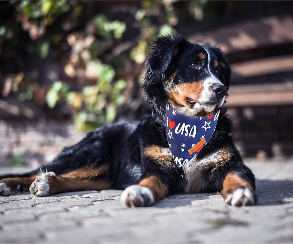 4th of July Bandanas 2 Pack, Triangle Reversible American Flag Pet Patriotic Scarf for Boy and Girl, Premium Durable Fabric, USA Bandana for Medium and Large Dogs (Large) - view 7