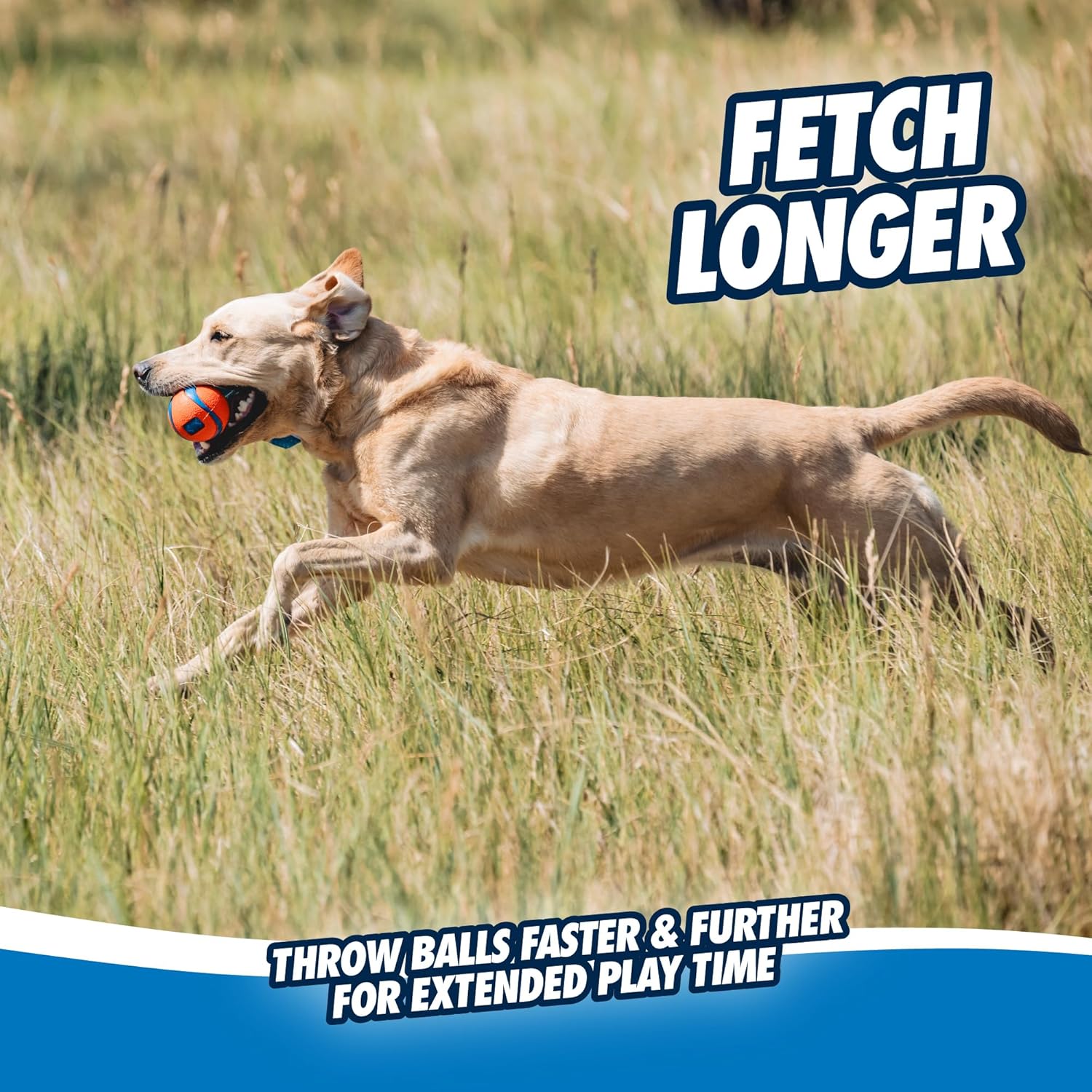 Ultra tug dog toy, medium fetch and dog ball tug toy for dogs 20-60 pounds - view 5