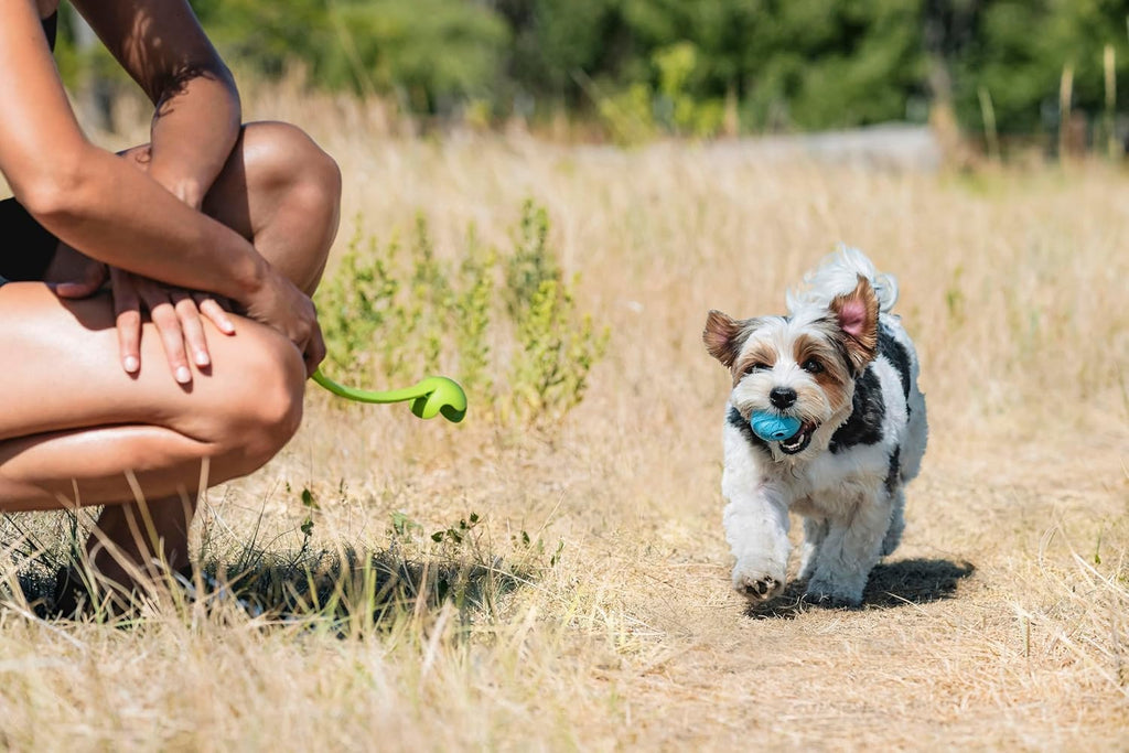 The whistler ball dog toy, small (2 inch diameter) for dogs 0-20 lbs, pack of 2 - view 7