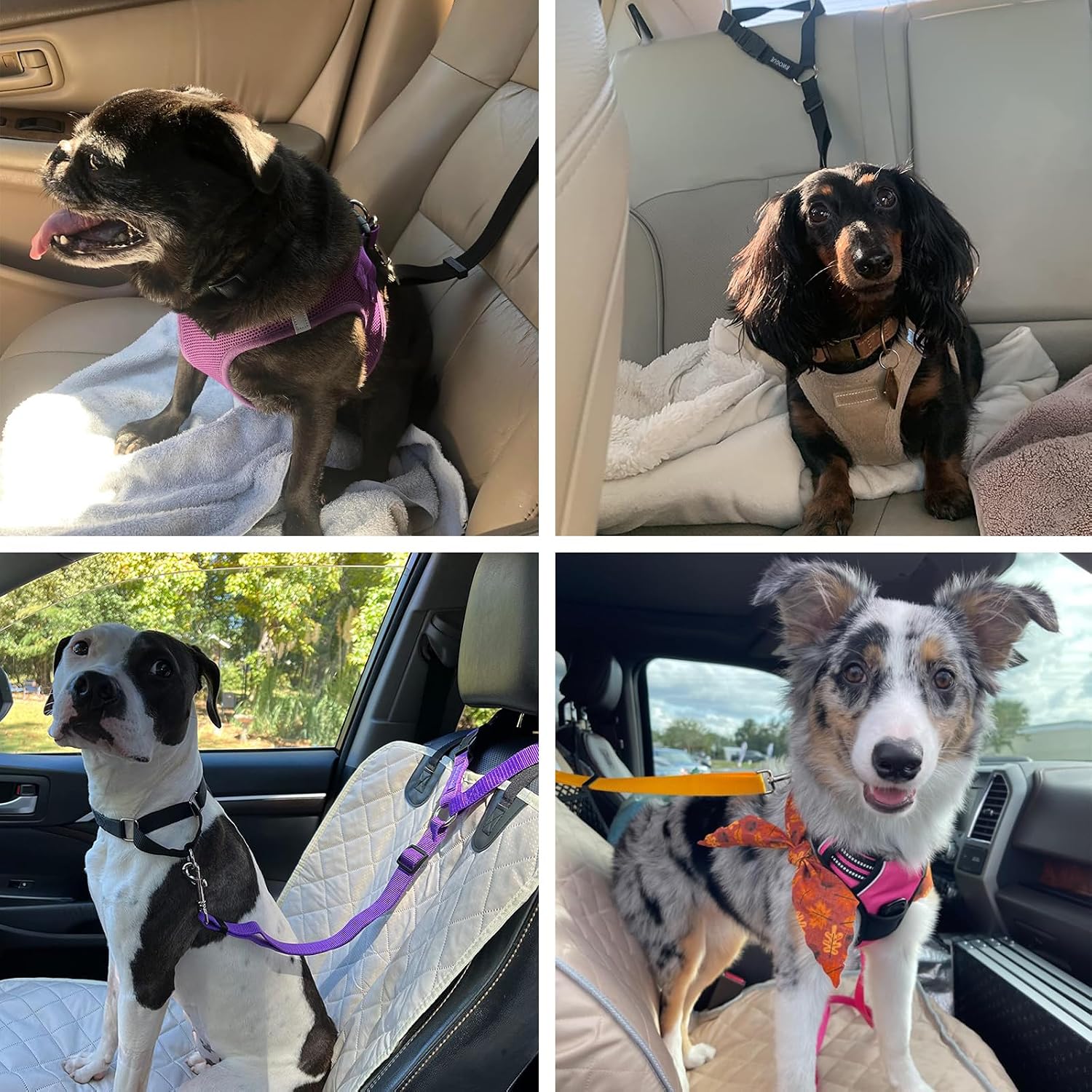 2 Pack Dog Seat Belt for Car, Headrest Restraint Safety Leads | Headrest Loop for Car Travel, 18-30 in Adjustable, 2-in-1 Seat Belt and Leash, 2 Pack for Dogs and Cats, Use with Dog Harness - view 7