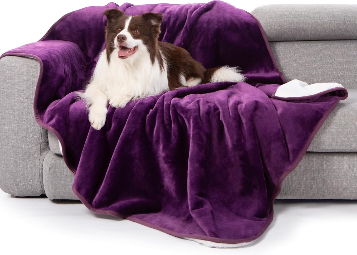 Waterproof Bed Blanket, Reversible Sherpa Fleece Throw Blanket for Dog Puppy Cat, Furniture Cover Protects Bed Couch Sofa from Liquid Pee and Pet Fur (Dark Purple, 60x80 inches)