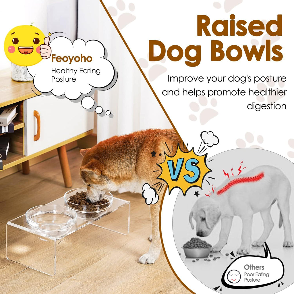 Acrylic elevated dog cat bowls pet feeder double bowl raised stand comes with 2 removable glass bowls and 2 stainless steel bowls. Perfect for medium dogs, 5.5" tall - view 4