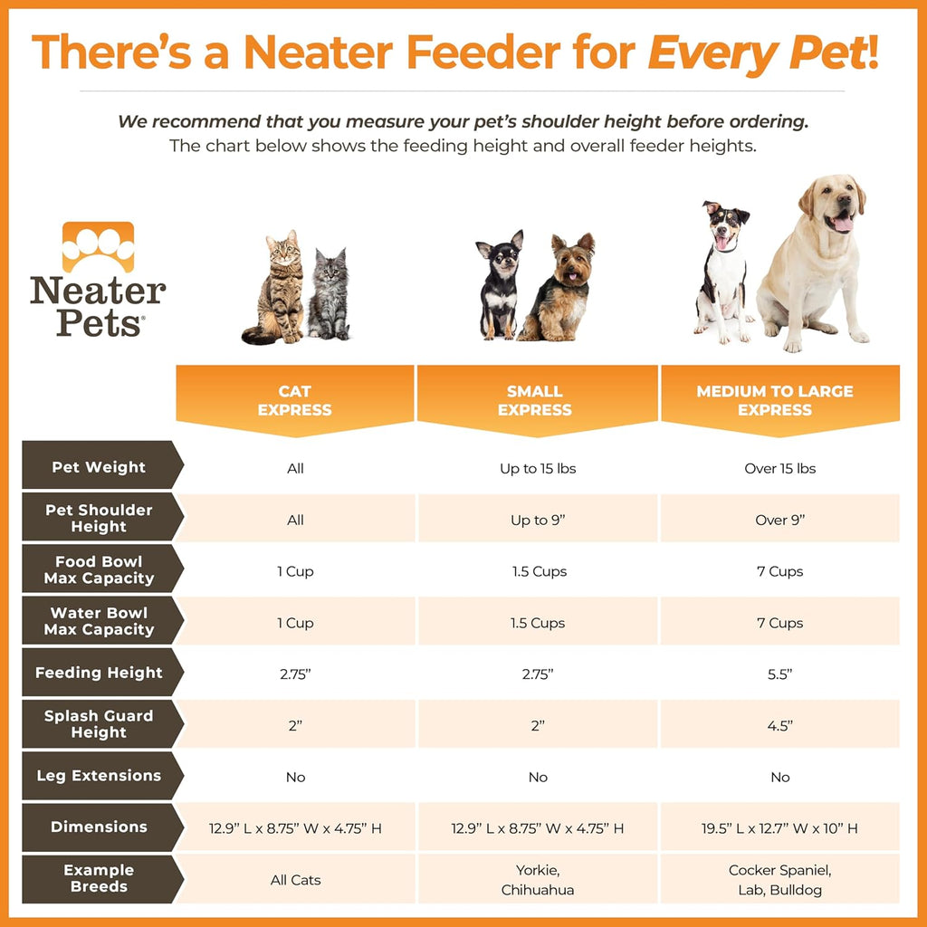 Express Mess Proof Dog Bowls Elevated for Medium to Large Sized Breed, No Spill Raised Dog Food Bowl Stand, Stainless Steel Food and Water Bowl Set, Pet Dish Feeding Station, Grey - view 6