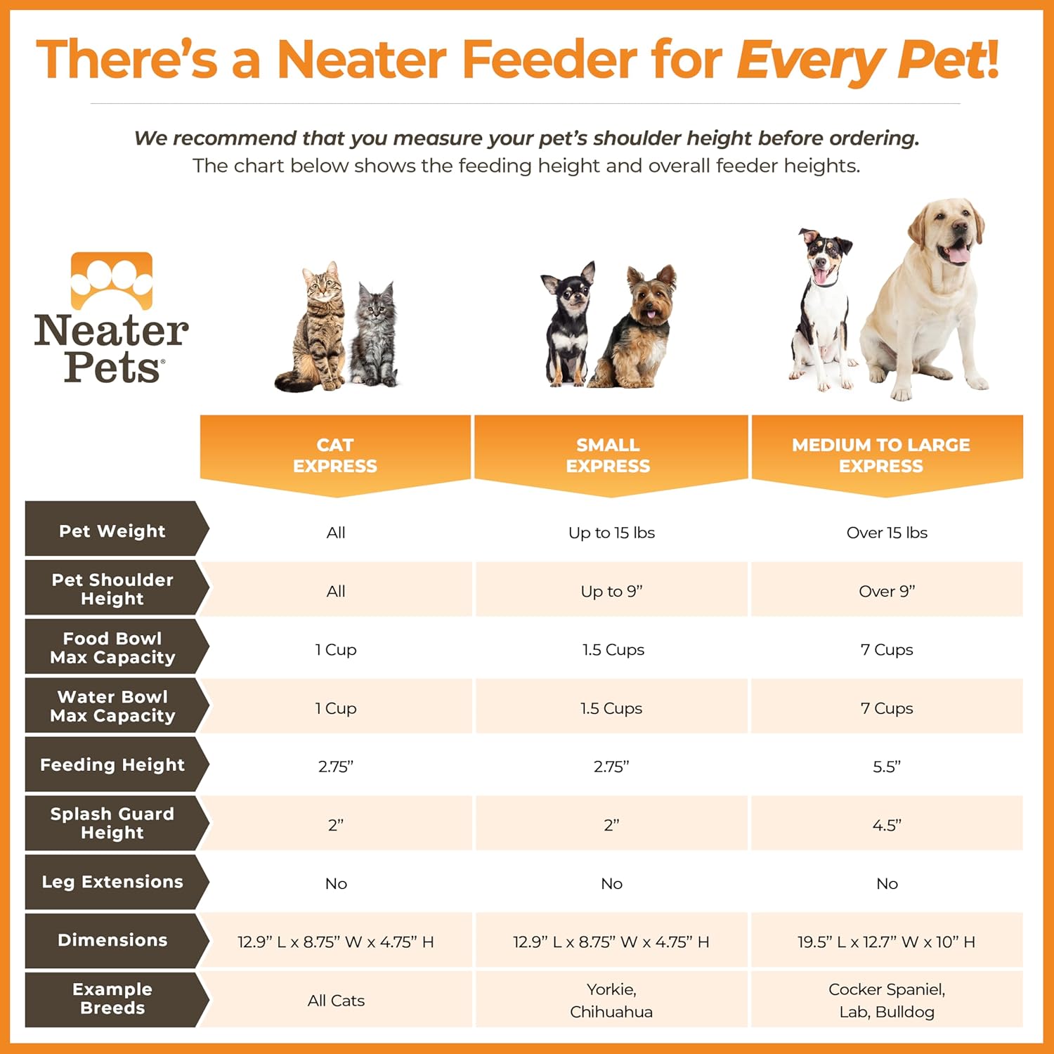 Express Mess Proof Dog Bowls Elevated for Medium to Large Sized Breed, No Spill Raised Dog Food Bowl Stand, Stainless Steel Food and Water Bowl Set, Pet Dish Feeding Station, Grey - view 6